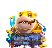 kiayun官网客户案例：大促全链路压测与容量预案