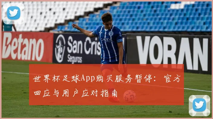 世界杯足球App购买服务暂停：官方回应与用户应对指南